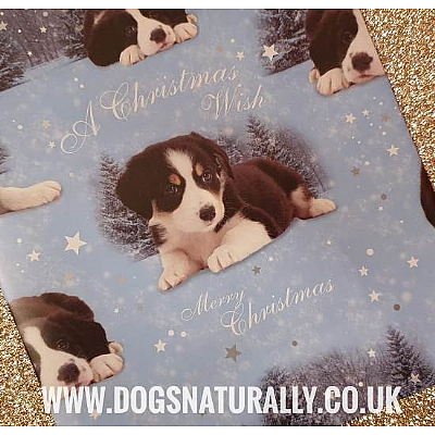 Border Collie Christmas Wrapping Paper & Tags